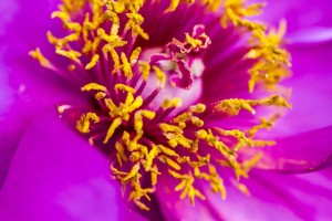 IMG_9862